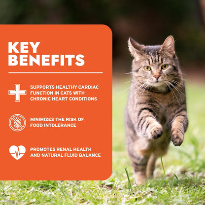 Wet Cat Food Kidney RENAL ACTIWET with Lamb 3.5Oz, Adult Cat Food Wet, Renal Support Canned Cat Food